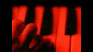 STARS-Elevator Love Letter [ ]