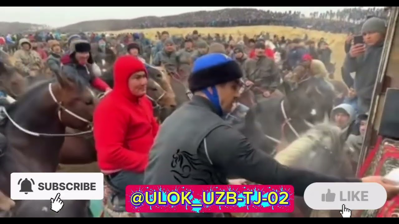 6 ноября 2025 г.