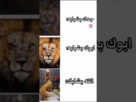 جدك ابوك انتە بشبابە