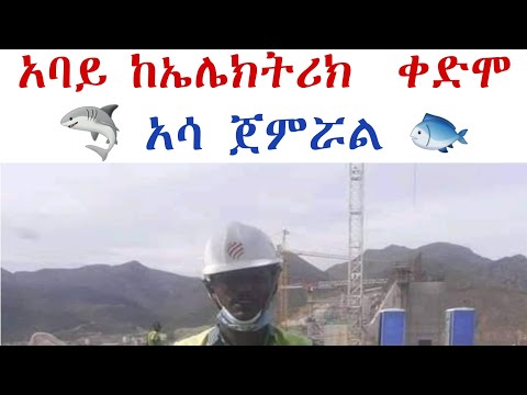 አባይ ተአምር መስራት ጀምሯል የፍቅር ቀጠሮ Yefikir Ketero Cute Couple Goals