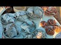 मुंबईका वर्सोवा फिश मार्केट (Mumbai) Versova Village Fish Market