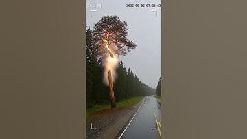 Lightning Strike Hits Tree! ⚡🌲 Caught On Camera#LightningStrike #CaughtOnCamera #TreeStrike