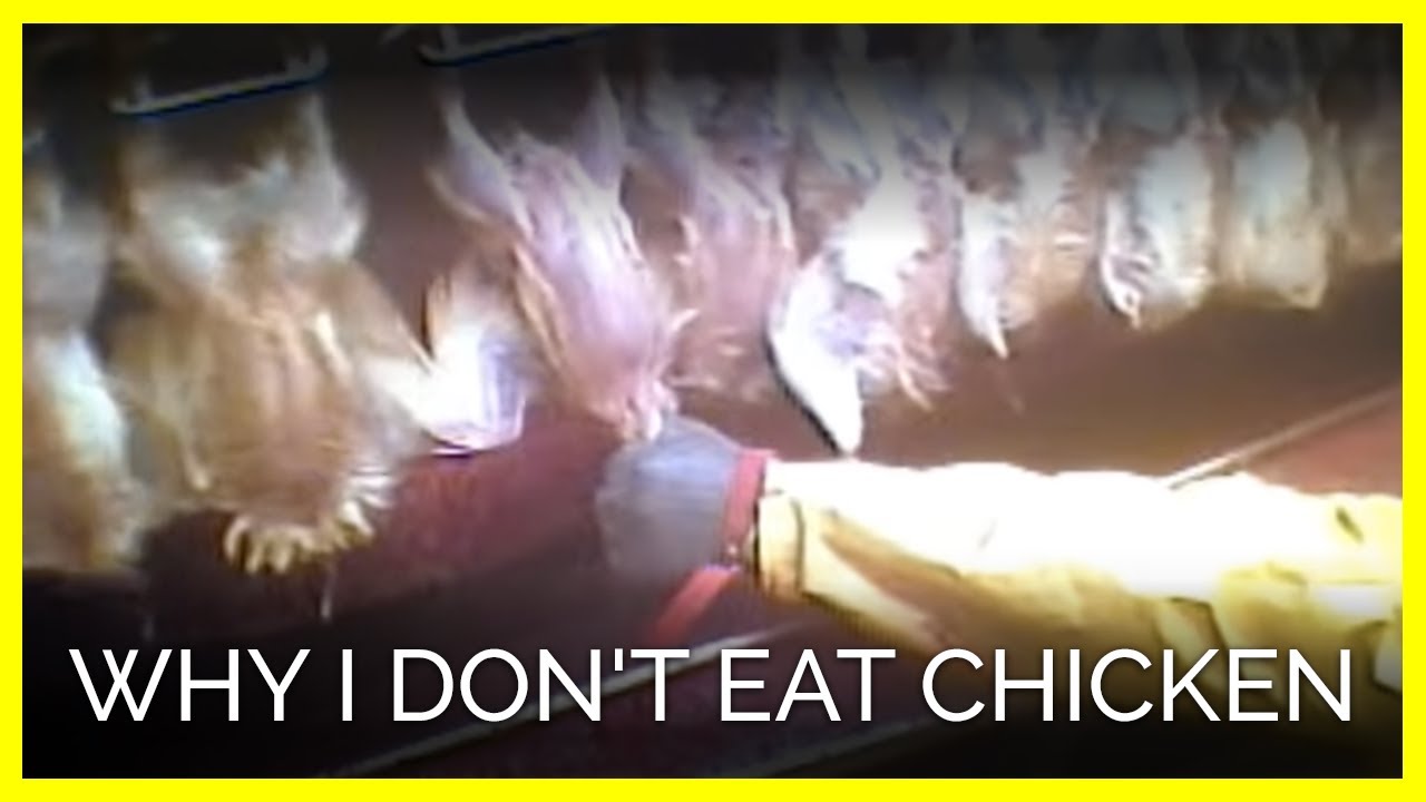 vegan recipes easy Why I Don't Eat Chicken
