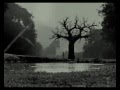 Beautiful - Sopor Aeternus & The Ensemble Of Shadows