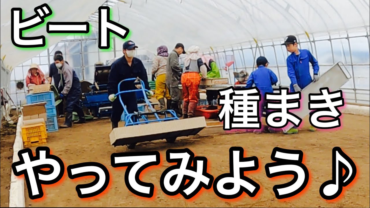 ✨ビートの種まき始まりました〜✨ - YouTube