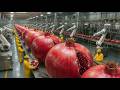 From Raw Pomegranates to Bottled Juice Full Process Inside the Factory