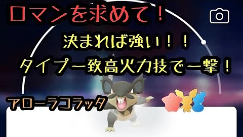 アローラコラッタデッキ