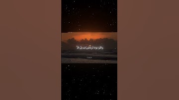 سورة البقرة|281|القارئ:#محمد_اللحيدان #قران #quran #راحة_نفسية #قران_كريم  #تلاوة_هادئة #تلاوة_خاشعة
