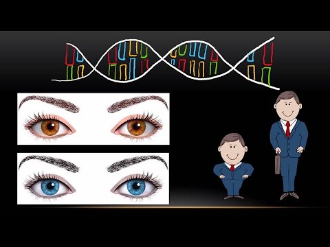 Video: DNK va RNK qanday farq qiladi?