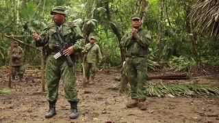 Military Jungle Warfare Training  US Marines In Belize