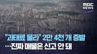 "과태료 물라" 2만 4천 개 증발…진짜 매물은 신고 안 돼 (2020.08.22/뉴스데스크/MBC)