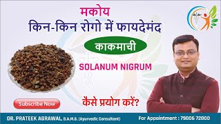 मकोय के फायदे | Makoy ke fayde | काकमाची | Solanum Nigrum | Dr. Prateek Agrawal (204)