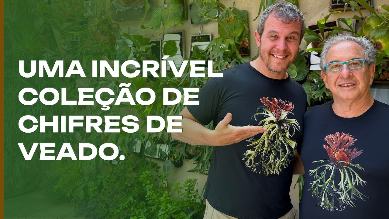 As plantas do Dr Ronaldo: uma coleção incrível.