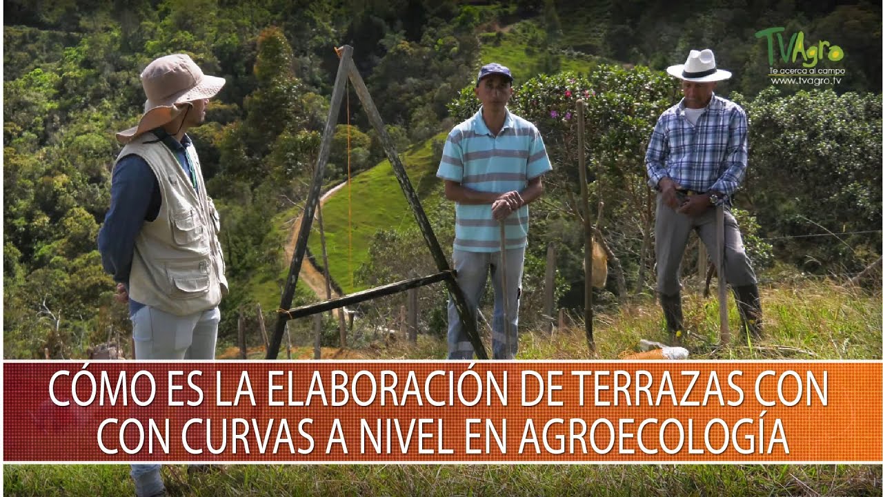 Como es la elaboracion de terrazas con curvas a nivel en agroecologia - TvAgro