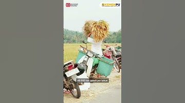 Peran Penting Bendungan Sermo sebagai Sumber Air Irigasi Pertanian