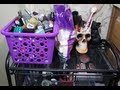 MAKEUP COLLECTION & ORGANIZATION