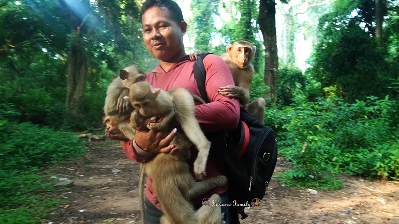 Best Action Monkey Kids Riding a motorcycle and hugging brother go ...