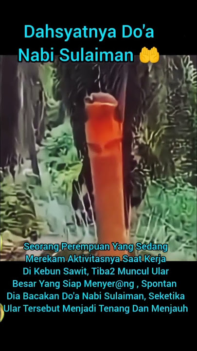 HATI HATI JIKA MENDENGAR SUARA INI DI RUMAHNYA#viralvideo #reelsviral
