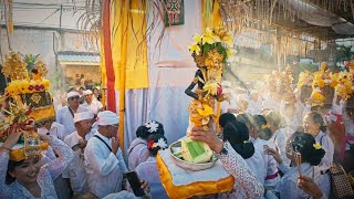 Visiting Communities...! The Ngenteg Linggih Ceremony at the Kahyangan and Mrajapati Temples of S...