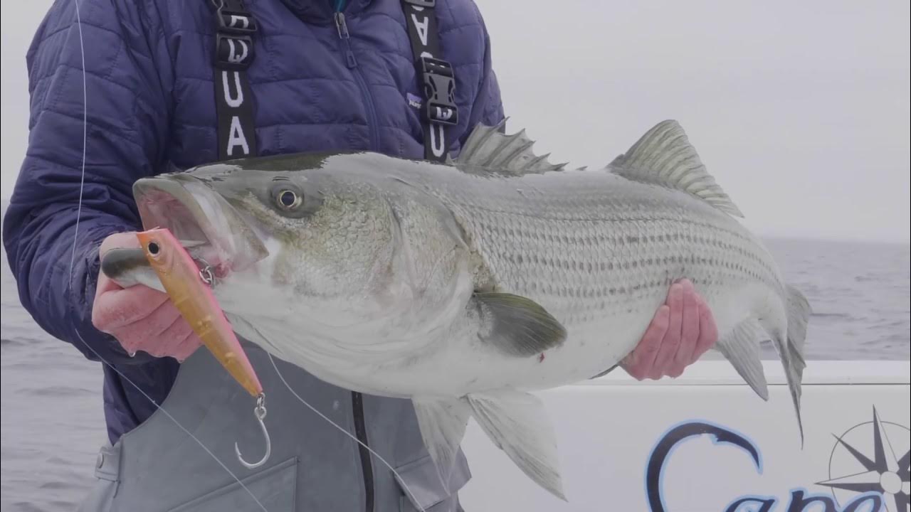 60 Second How-To: Topwater Stripers with Poppers 