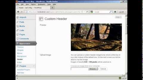Learn - How to Put a Custom Header in Your Blog