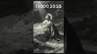 ORAÇÃO DA NOITE #caminhoparaumavidamelhor #deusnocontrole #fé #propósito