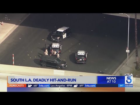 Deadly South L.A. hit-and-run under investigation