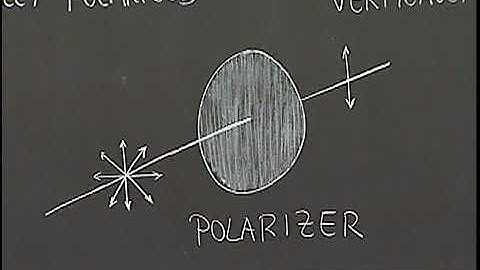 Polarized Light: General Demonstration