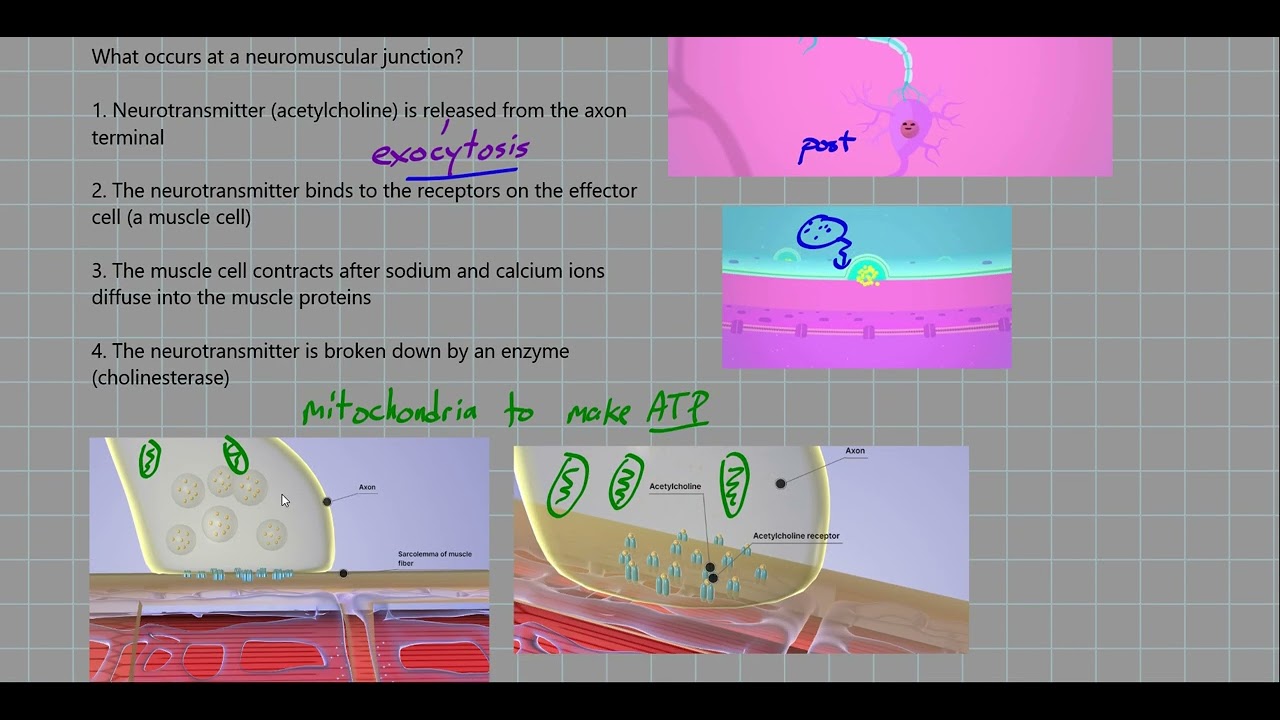 biology 30 assignments