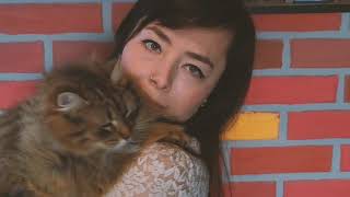 How to be a proud cat owner ? | Learn Cat ownership | 2020 by Cats Youtube Lover 223 views 3 years ago 5 minutes, 49 seconds