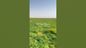 سورة البقرة اية ٢١٦ وعسى ان تكرهوا شيئًا وهو خير لكم