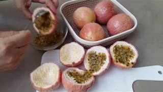 Street Food Recipe | Passion Fruit Juice Recipe | 百香果汁食谱