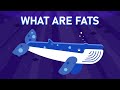 Understanding Fats