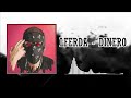 LFERDA DINERO SLOWED REVERB