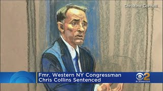 US Chris Collins Sentenced Former Congressman Sentenced To 26 Months In ...