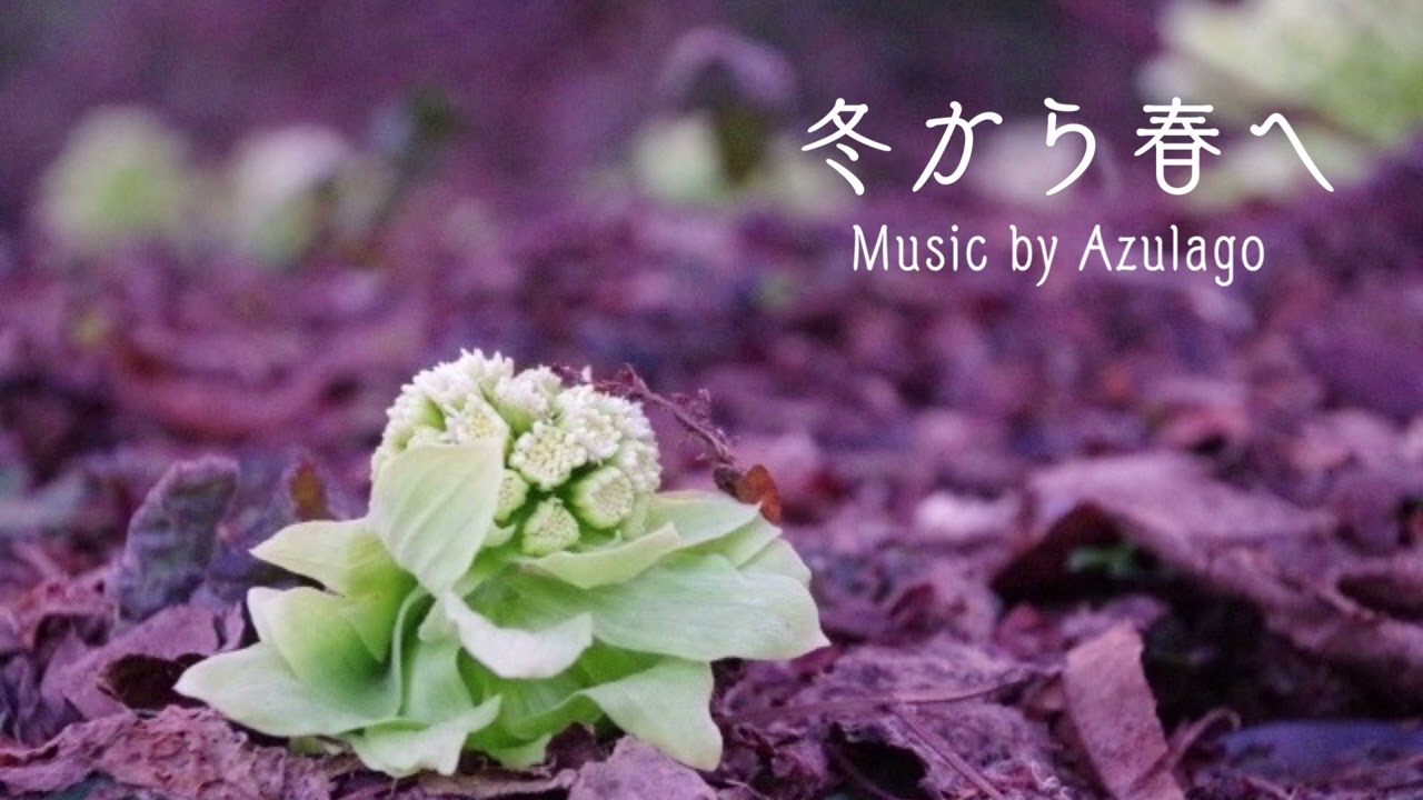 Sleduj 冬から春へ【ピアノソロ／BGM】 na YouTube
