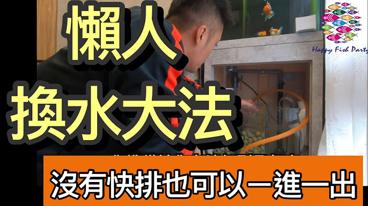 養魚懶人換水方式,魚缸沒有快排也可以一進一出,埃及神仙缸也可以輕鬆養金魚,只要有心大家都可以養一缸好魚 - 天天要聞