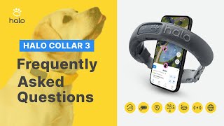 HALO COLLAR 3: FREQUENTLY ASKED QUESTIONS | NEWEST GPS DOG VIRTUAL FENCE AND TRACKER 2023