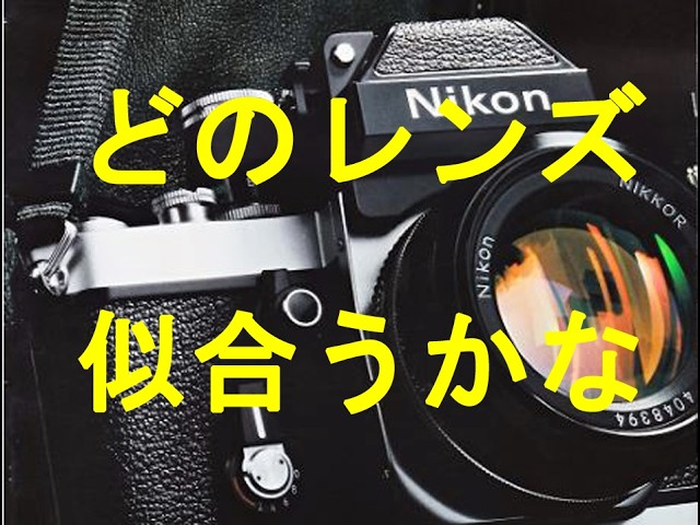 №853 NIKON F100総集編！購入金額合計とリバーサル作例のご紹介