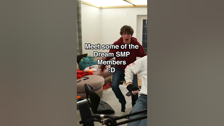Meet some of the Dream SMP Members (No Roots)