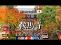 Kyoyo, Japan "Kurama-dera Temple" | Beautiful Autumn Leaves Season [4K]