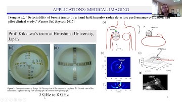 Microwave and mmWave Near-Field Imaging: Applications, Methods, and Challenges - Natalia K. Nikolova