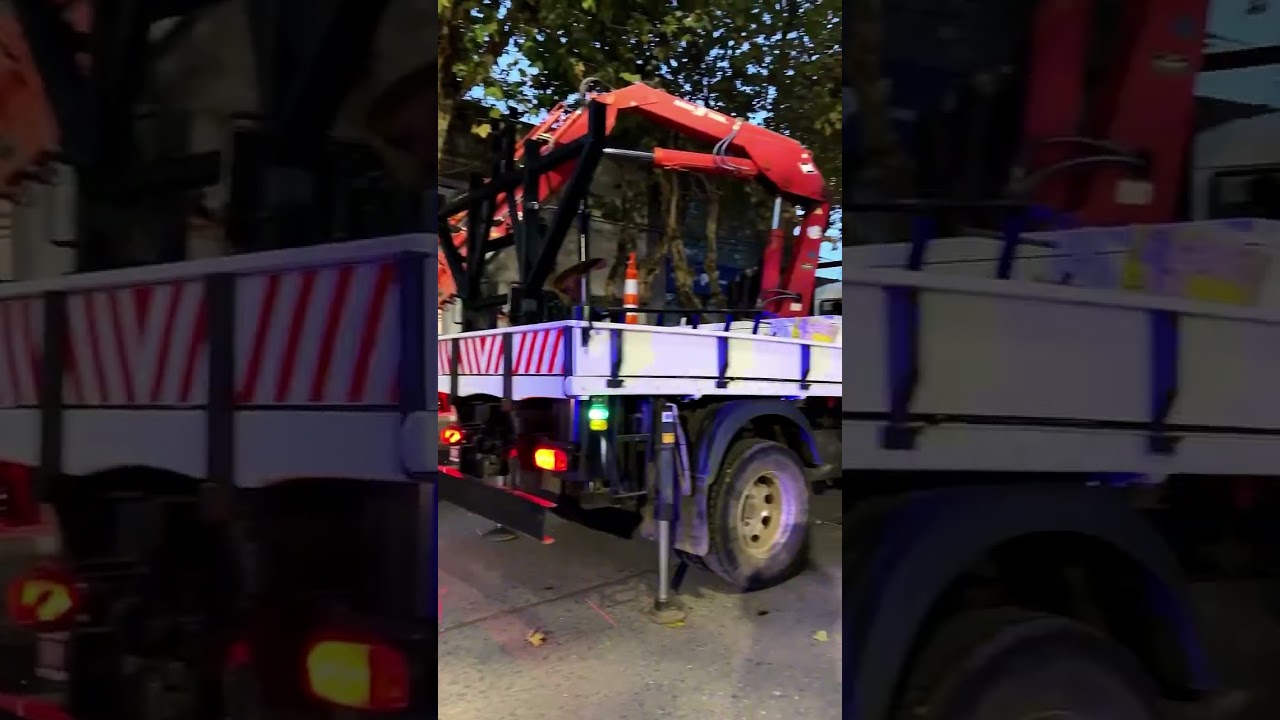 Cortes de tránsito por poda especial: comienzan los trabajos en Alem y Alsina
