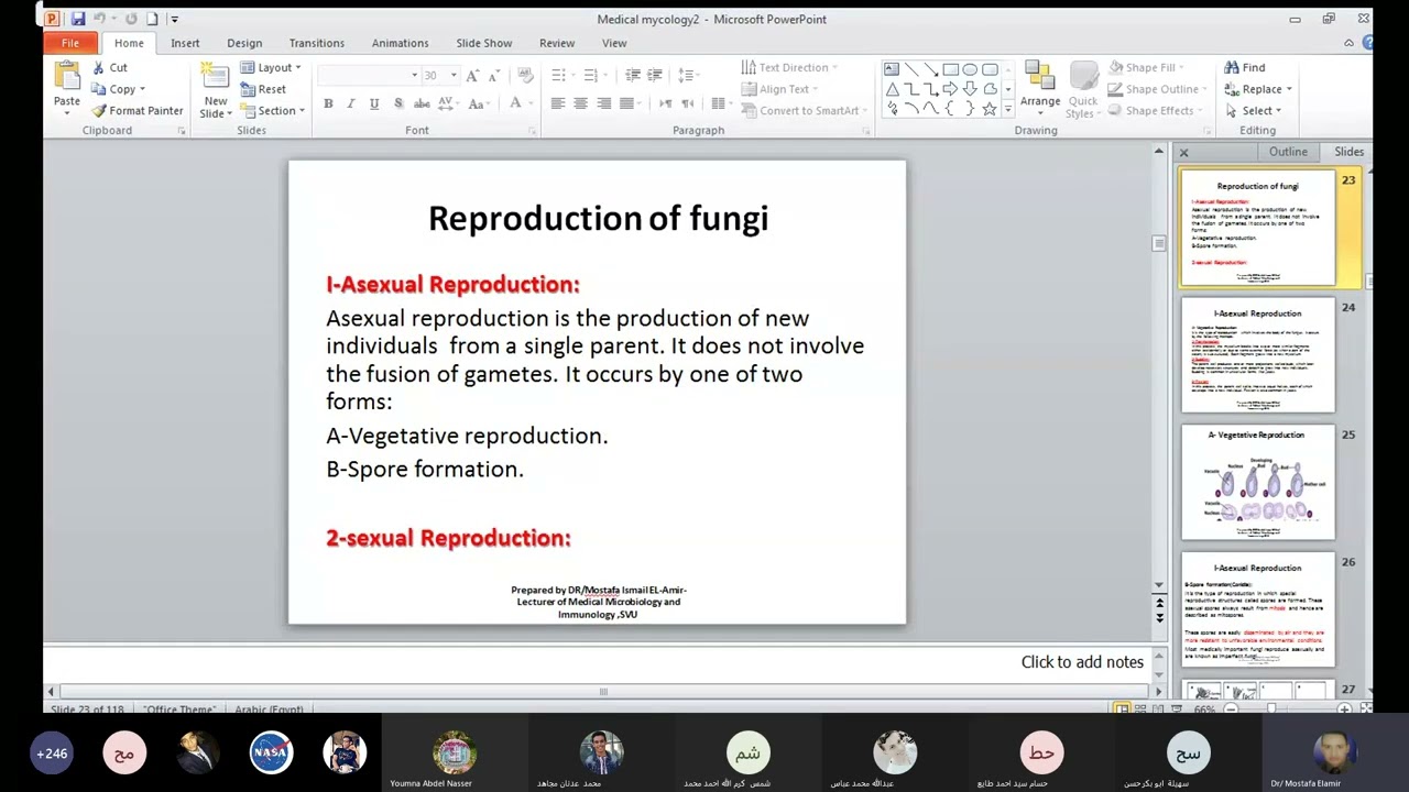 Introduction to Microbiology Part 13 Dr. Mustafa Ismail   [تكمله Mycology classification of 👇fungi ]