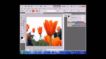 Photoshop CS6 Tutorial The Mixer Brush Adobe Training