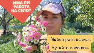 видео: Търсим съвет за старата ни плевня и още за новото приключение с цветята. Градината в повдигнати лехи картинка: Търсим съвет за старата ни плевня и още за новото приключение с цветята. Градината в повдигнати лехи