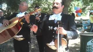Mariachi Alma de Jalisco - Vida Prestada.mov chords