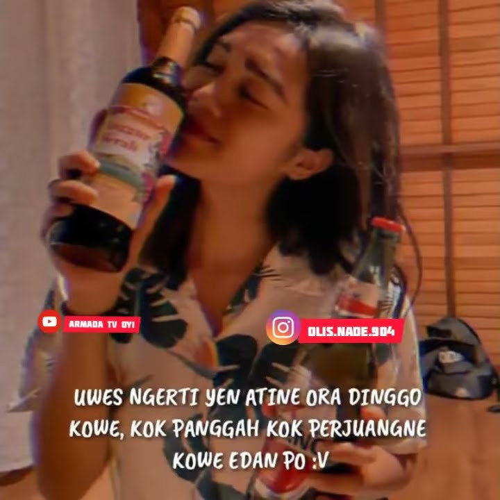 Story wa ojo goblok
