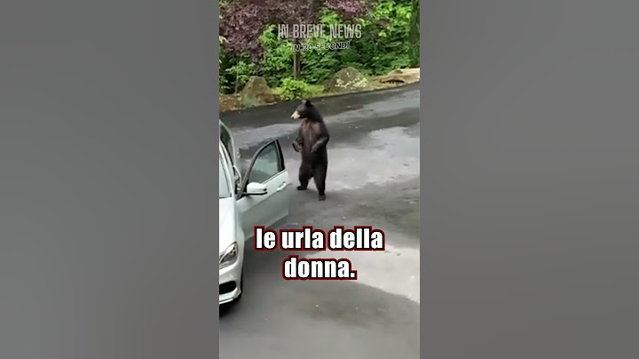 Orso messo in fuga dalle urla della donna! #shorts