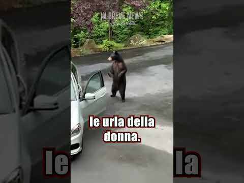 Video: Come sbarazzarsi dell'orso in giardino e salvare il raccolto?